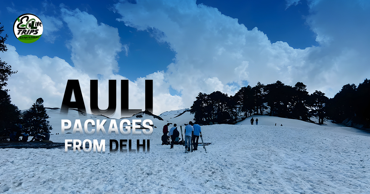 Auli tour package from Delhi